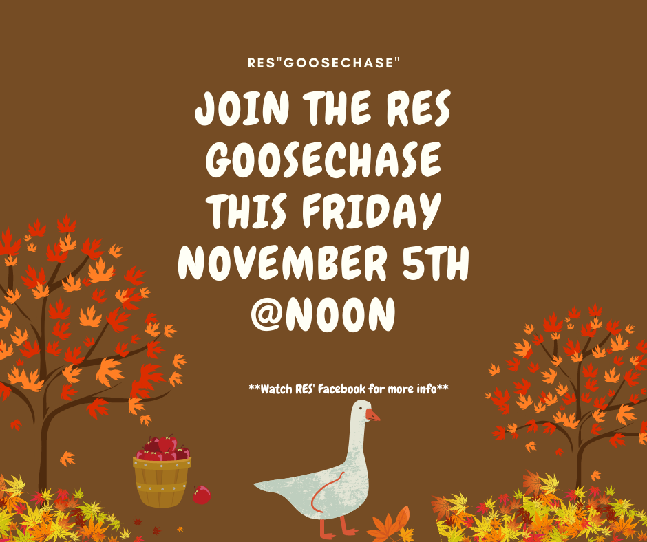 RES GooseChase