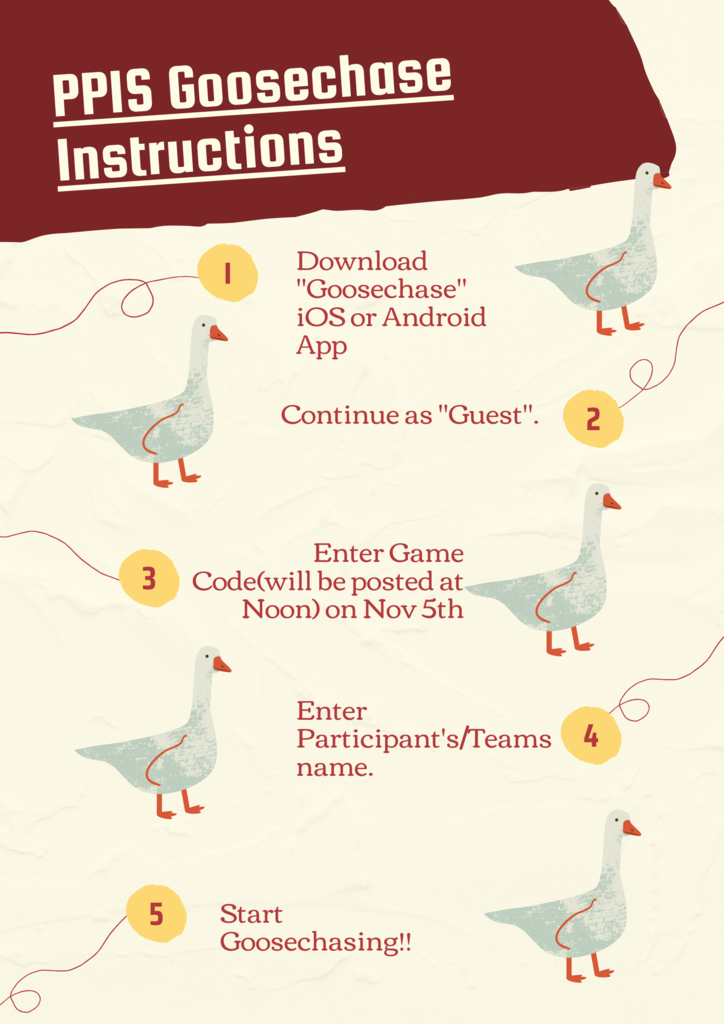 goose chase instructions