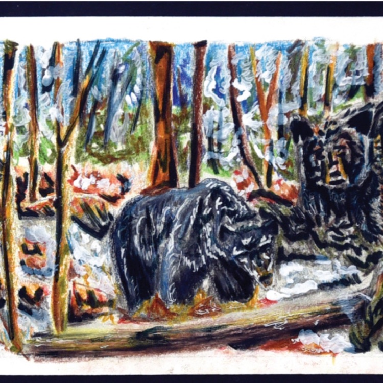 bear